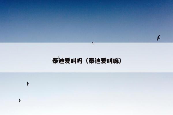 泰迪爱叫吗（泰迪爱叫嘛）