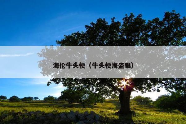 海伦牛头梗（牛头梗海盗眼）