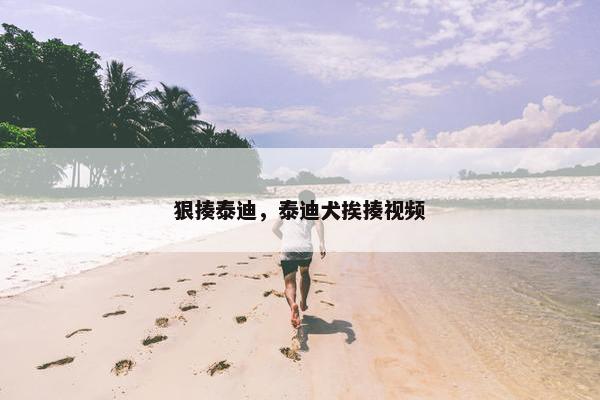 狠揍泰迪，泰迪犬挨揍视频