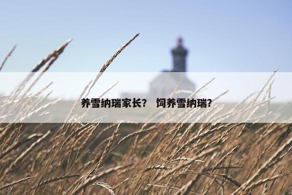 养雪纳瑞家长？ 饲养雪纳瑞？