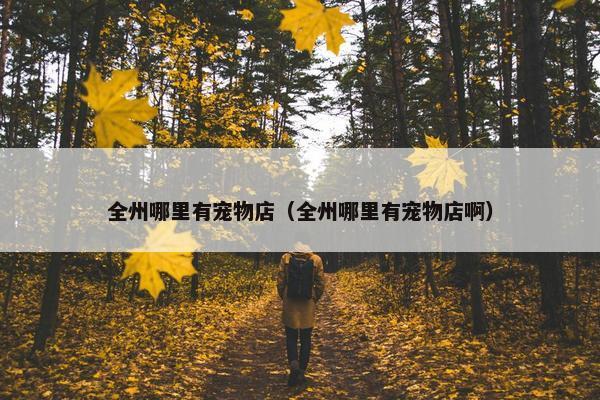 全州哪里有宠物店（全州哪里有宠物店啊）